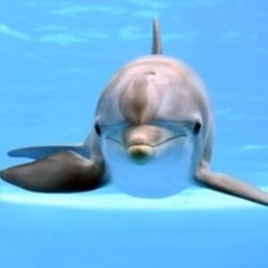 Meet your Posher, Shayne